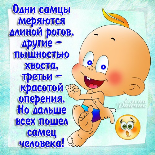   - 3  2015  16:36