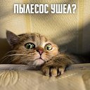  , -, 44  -  27  2015    