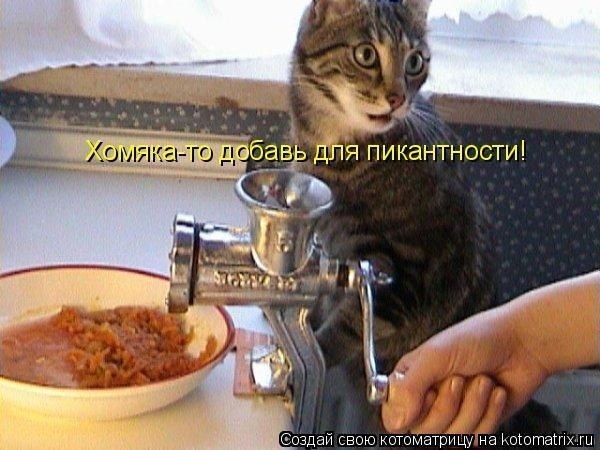       - 1  2015  05:30