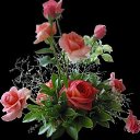 ���� Rayza, ����� - ��������� 18 ����� 2015 � ������ ���� ����������