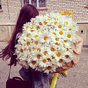 ���� ��������***, ���� - ��������� 3 ����� 2015 � ������ ������ ��������