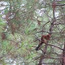 ���� �����, ������ - ��������� 19 ������ 2015 � ������ ������ ��������