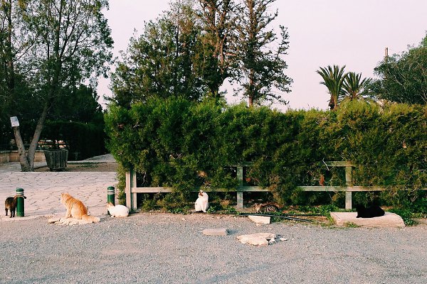  .            , ... - 2