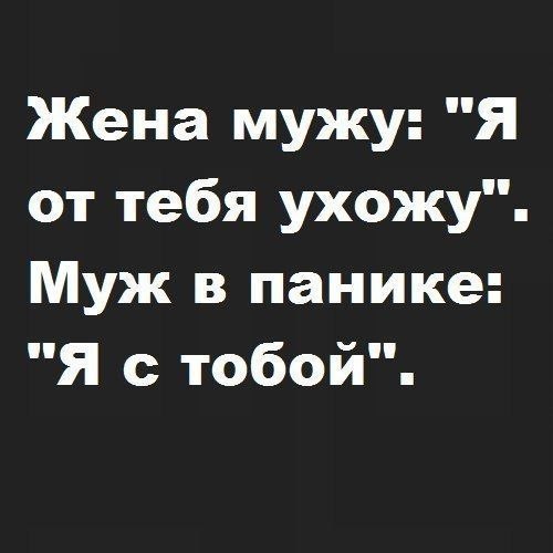 �������� ���� - 22 ������� 2015 � 17:04