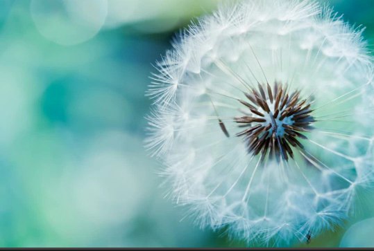      -  ,      .   ... - 6