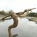 ���� �����, ��������� - ��������� 24 ������� 2015 � ������ ������ ��������