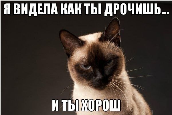 �������� ������ � ������ - 7 ������ 2015 � 21:34