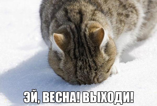       - 24  2015  23:34
