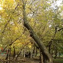 ���� �����, �����������, 70 ��� - ��������� 22 ������� 2014 � ������ ���� ����������