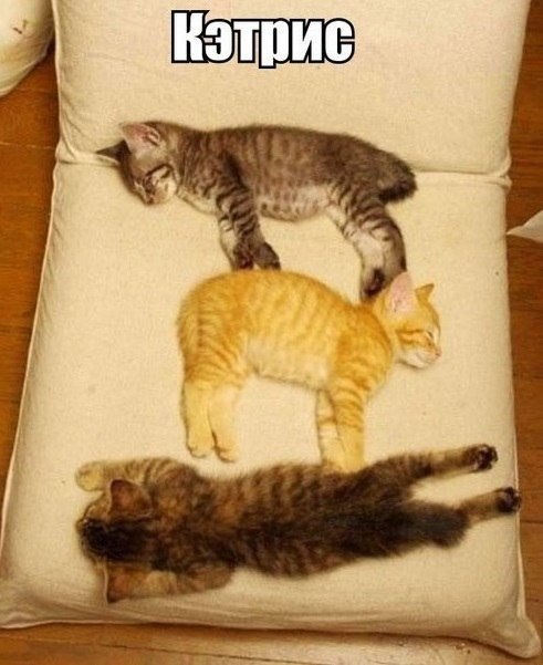 ��������� � ������,��� ���� ��������: <a href=