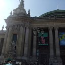 ���� ��������, ������, 43 ���� - ��������� 19 ������ 2015 � ������ ���������