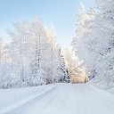 ���� �����, �������, 47 ��� - ��������� 29 ����� 2015 � ������ ������ ��������