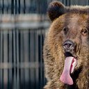 ���� �����, ��������� - ��������� 24 ������� 2015 � ������ ������ ��������