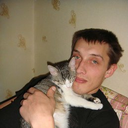 ���� ������, ������, 41 ��� - ��������� 19 ������ 2015