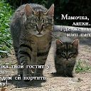 ���� �����,, ������ - ��������� 16 ������ 2015 � ������ ������ ��������