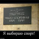  , , 49  -  20  2015   ߻