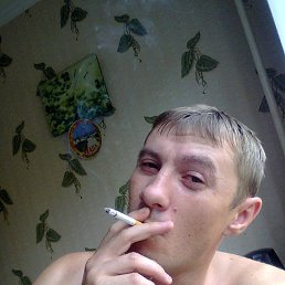 ���� �����, �������-���������, 42 ���� - ��������� 1 ������ 2015