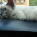 ���� Sergey, �����-���������, 73 ���� - ��������� 28 ������� 2015 � ������ ���� ����������