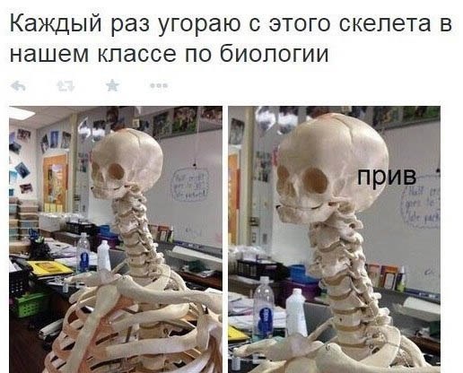    :-) - 9  2015  19:08