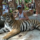 ���� �����, �����������, 48 ��� - ��������� 15 ������ 2015