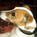 ���� �����, ������, 57 ��� - ��������� 8 ������ 2015 � ������ ���� ����������