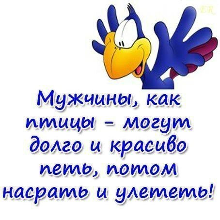  - 28  2015  12:44