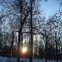 ���� ���������, ������ �������� - ��������� 8 ����� 2015 � ������ ����� 2015�