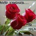 ���� �����, ����-�����������, 51 ��� - ��������� 25 ������� 2015 � ������ ����������� ��� ��������