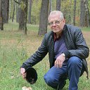 ���� �����, ������, 62 ���� - ��������� 29 ������� 2014 � ������ ���� ����������