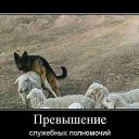  , --, 42  -  12  2015    