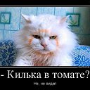 ���� ������, �����-���������, 50 ��� - ��������� 9 ������ 2015 � ������ ���� ����������