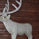 ���� ���������, �������-�����, 50 ��� - ��������� 6 ������� 2015 � ������ ������� �����-2015�