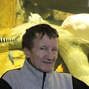 ���� �����, �������, 77 ��� - ��������� 14 ������� 2015 � ������ ���� ����������