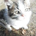 ���� ������, ������, 58 ��� - ��������� 16 ������� 2014 � ������ ����������