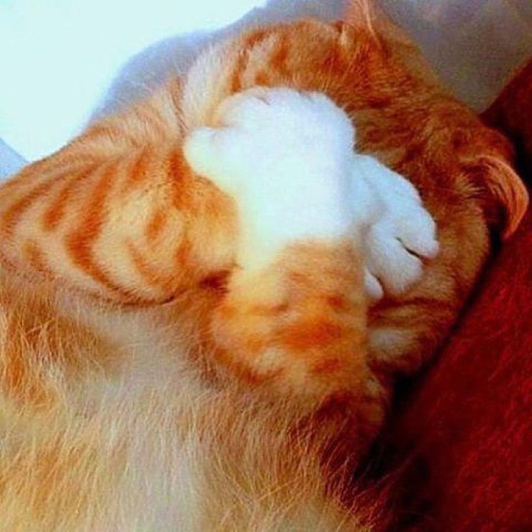 ))