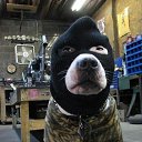 ���� ������, ������� - ��������� 8 ����� 2015 � ������ ������ ��������