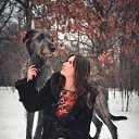   (Paolo Genua),  -  22  2015    