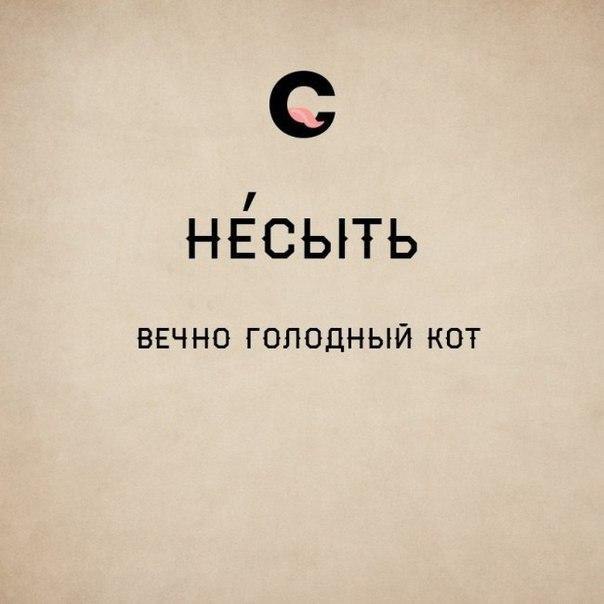     .        ,   ... - 6