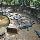 ���� Aru, �������� - ��������� 30 ����� 2015 � ������ �ANCIENT SCULPTURES AT MAHABALIPURAM, INDIA�