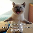 ���� �������, �������, 64 ���� - ��������� 4 ������ 2015 � ������ ������ ��������