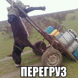  , , 46 