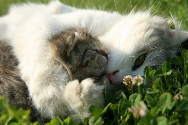 ������� ����...