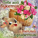 ���� �����, ���� - ��������� 4 ������ 2015 � ������ �������� ��������
