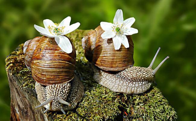 Jolanta - 15  2015  20:45