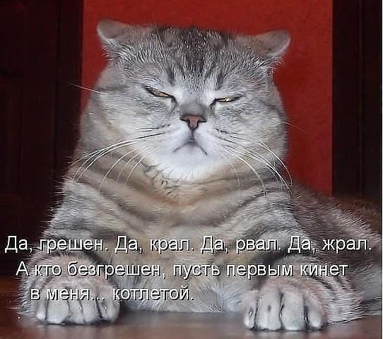 ����������. - 29 ������ 2015 � 01:07
