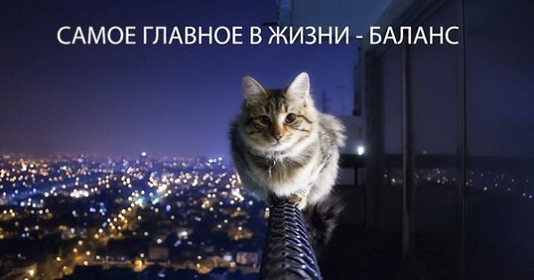       - 23  2015  06:05
