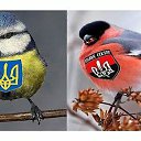 ���� Gans, �����������, 57 ��� - ��������� 8 ������� 2015