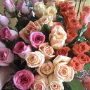 ���-47 ��� �� ������� ���� ����������