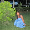 ���� �����, ������ - ��������� 11 ������ 2015 � ������ ������ ��������