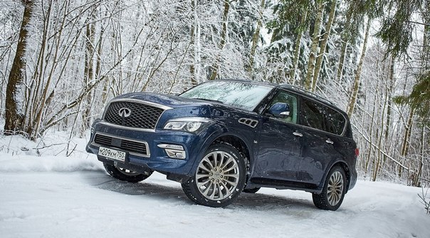 Infiniti QX80